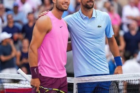 包含今晚欧冠前瞻：德约科维奇伤情更新，国际米兰冲击连败纪录的词条